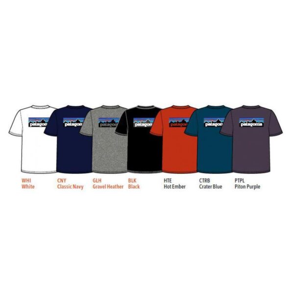 Patagonia Patagonia M P-6 Logo Responsibili-Tee P38504 Rigg Lofoten 1