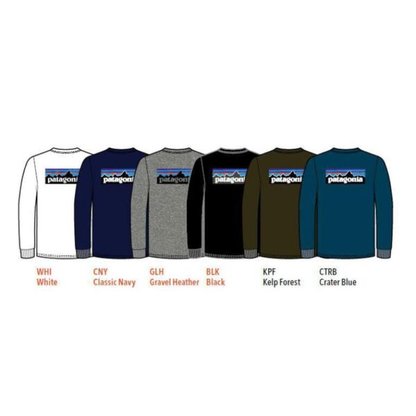 Patagonia Patagonia M L-S P-6 Logo Responsibili-Tee P38518 Rigg Lofoten 1